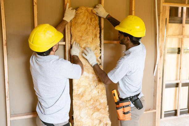 Best Soundproof Insulation  in Ahuimanu, HI